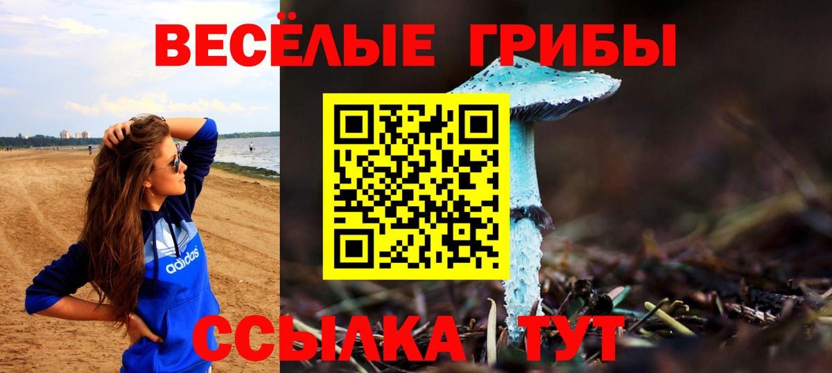 Галлюциногенные грибы ЛСД  Вход с VPN  Великий Новгород 